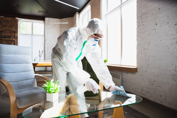 Why You Should Choose Our Mold Remediation Services in Monrovia, MD